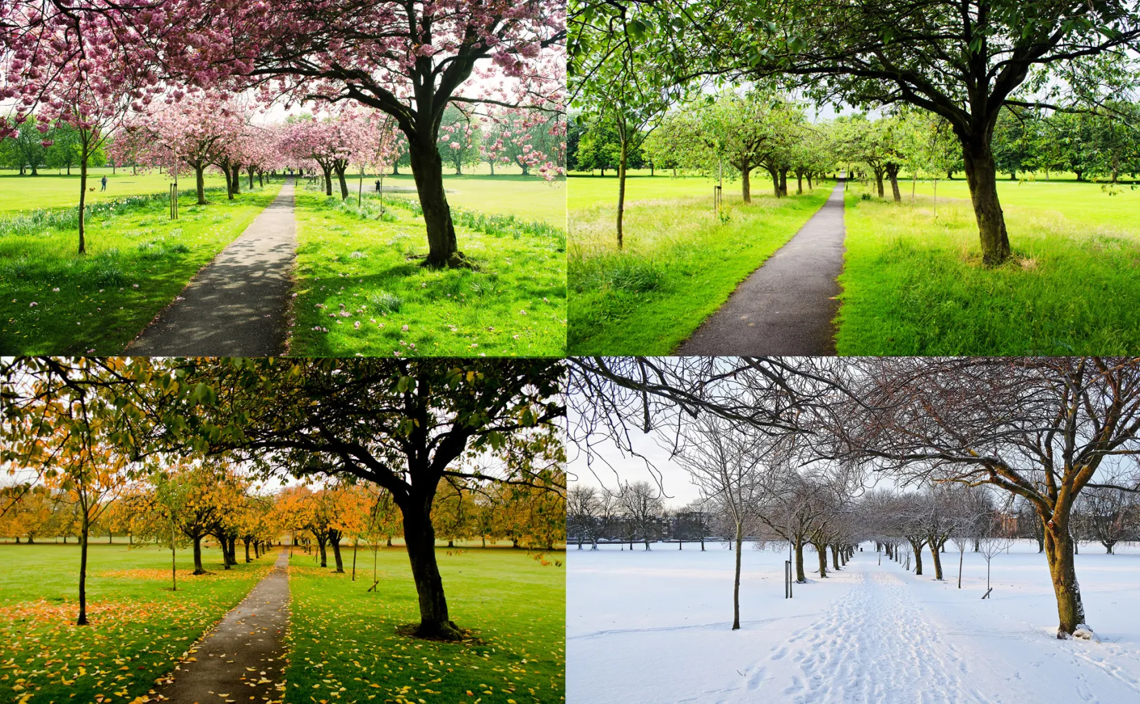 How This Southern California Transplant To New England Came To Love And Prefer All Four Seasons Over The Nearly Constant Warmth Of The Southern United States!